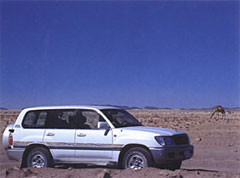 Land Cruiser 100-� �����